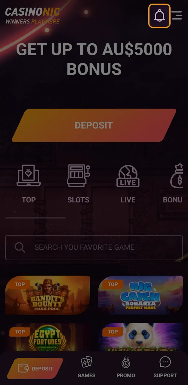 Get your verification status confirmed and enjoy full Casinonic platform access.