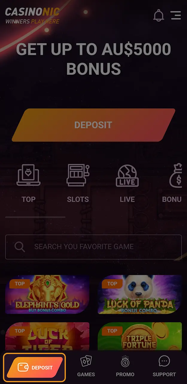Find the deposit tab at Casinonic to choose your funding option.