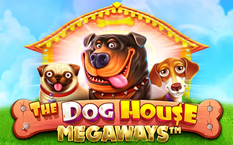 Enjoy the popular The Dog House Megaways title at Casinonic platform.